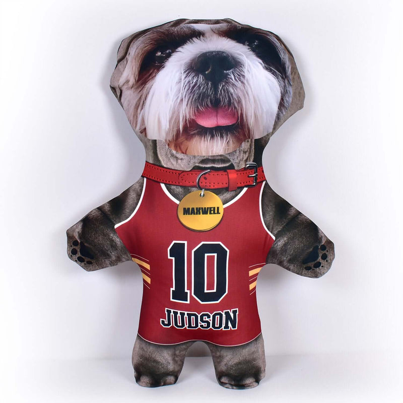 Basketball Jersey - 6 Fur Variants - Shape Three - Personalised Pet Mini Me