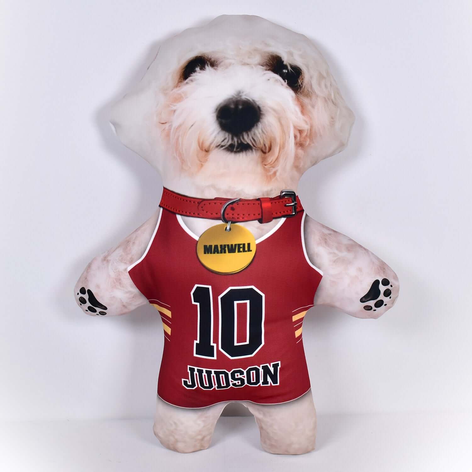 Basketball Jersey - 6 Fur Variants - Shape Three - Personalised Pet Mini Me